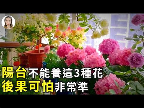 陽台種花風水|陽台種花風水：5種最旺財運的花